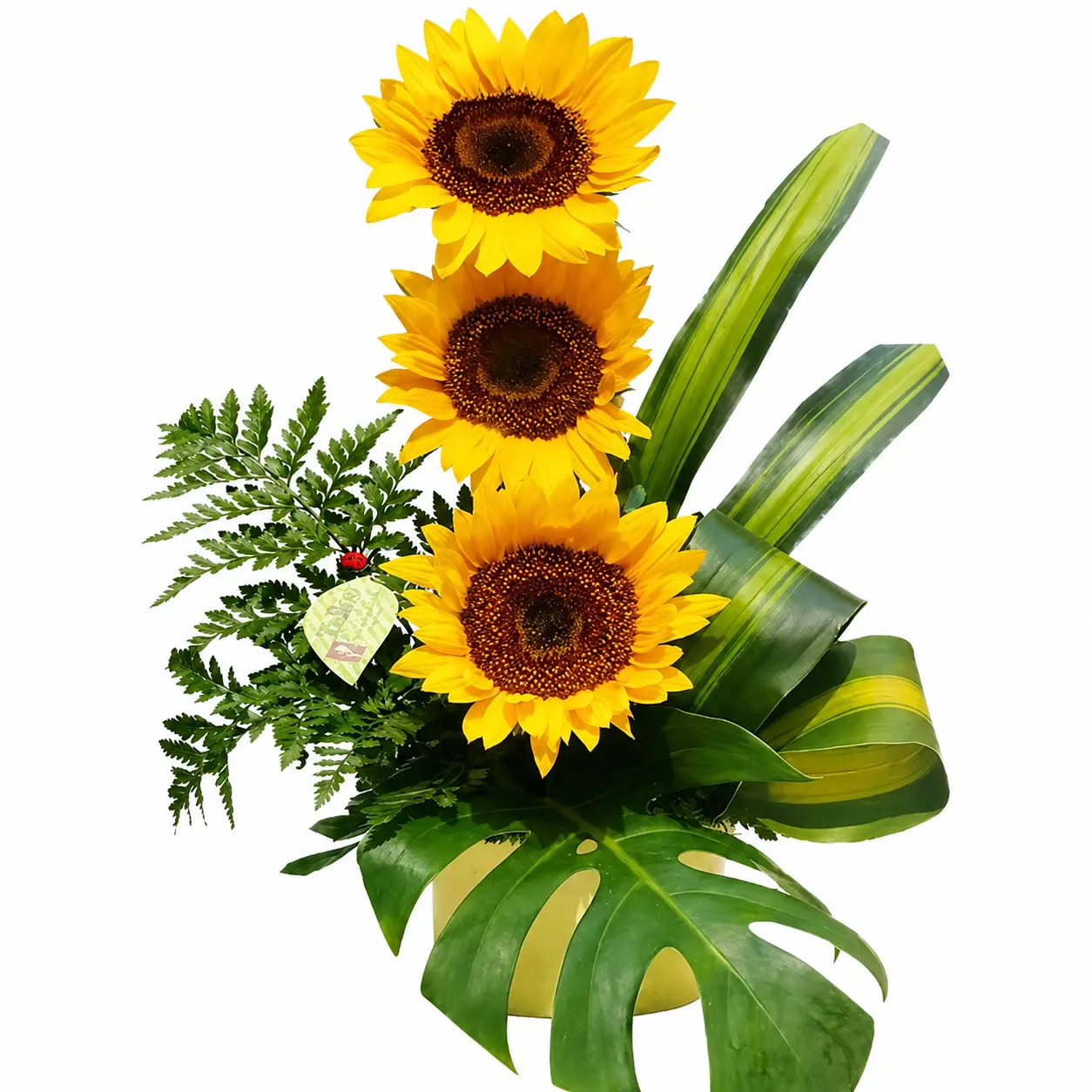 girasoles para regalar arreglo floral fresco con delivery de flores en Lima